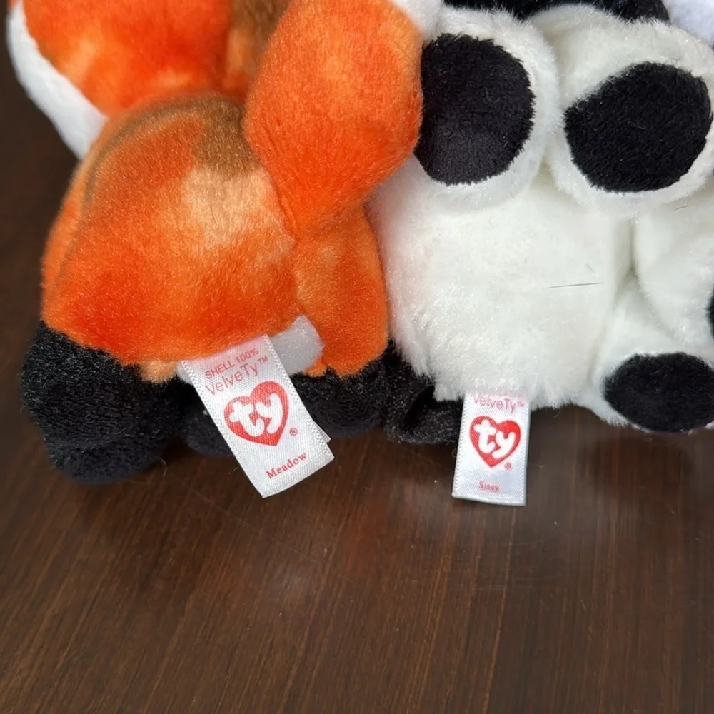 Ty includes two